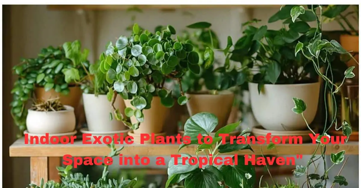 Indoor Exotic Plants to Transform Your Space into a Tropical Haven"