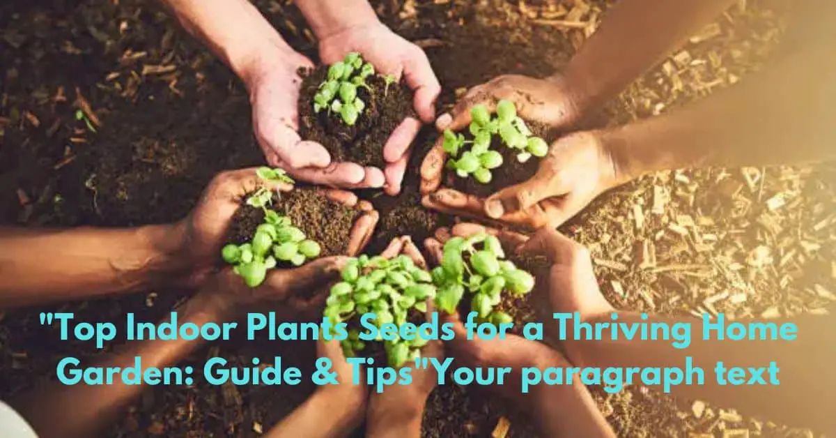 "Top Indoor Plants Seeds for a Thriving Home Garden: Guide & Tips"