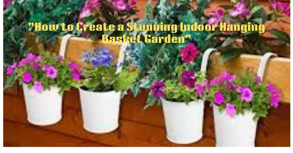 "How to Create a Stunning Indoor Hanging Basket Garden"