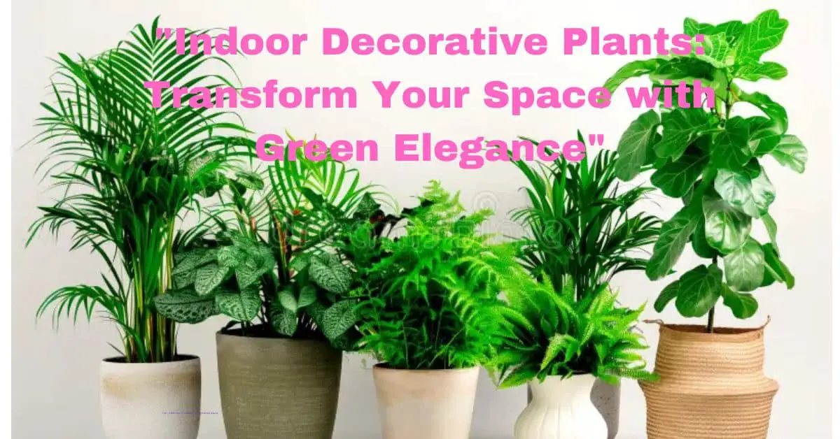 "Indoor Decorative Plants: Transform Your Space with Green Elegance"