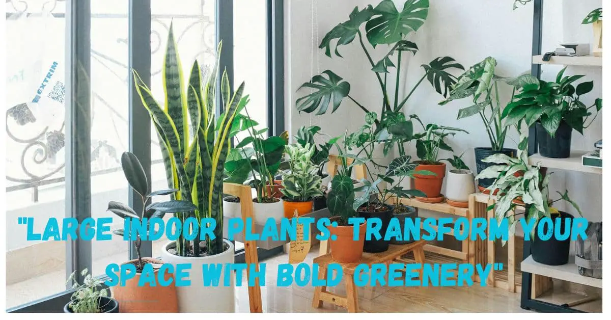 "Large Indoor Plants: Transform Your Space with Bold Greenery"