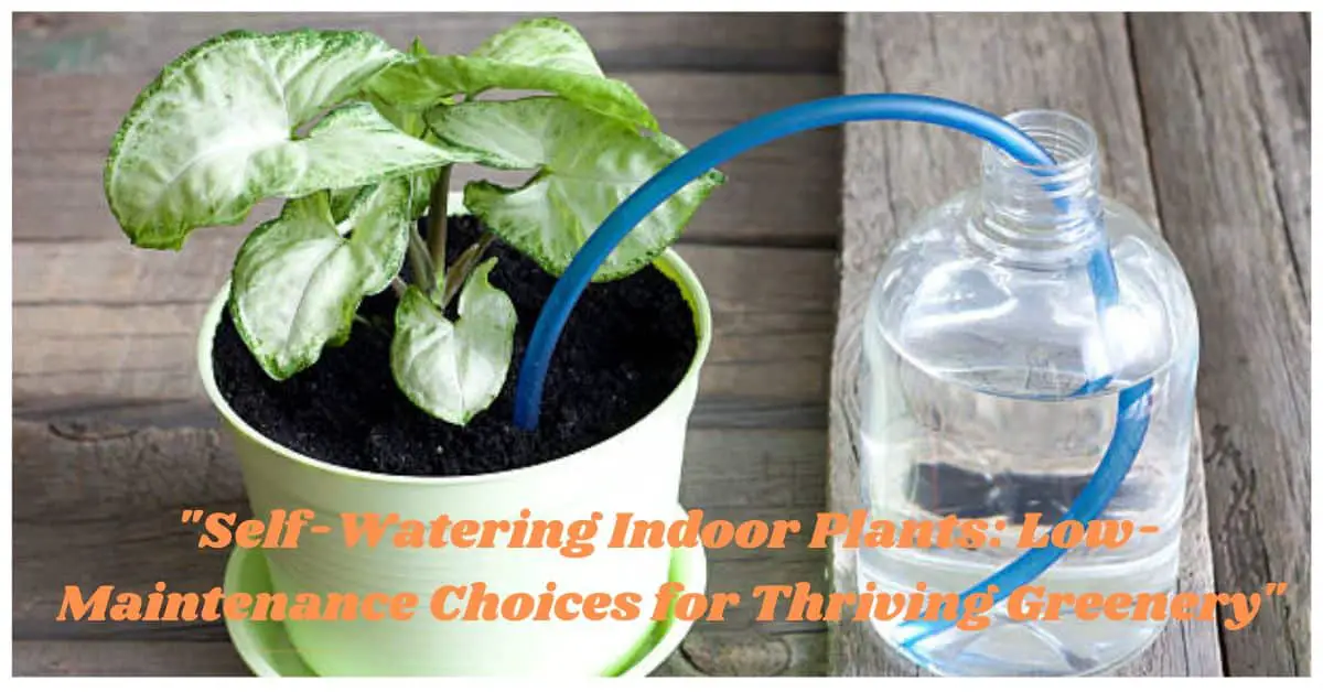 "Self-Watering Indoor Plants: Low-Maintenance Choices for Thriving Greenery"