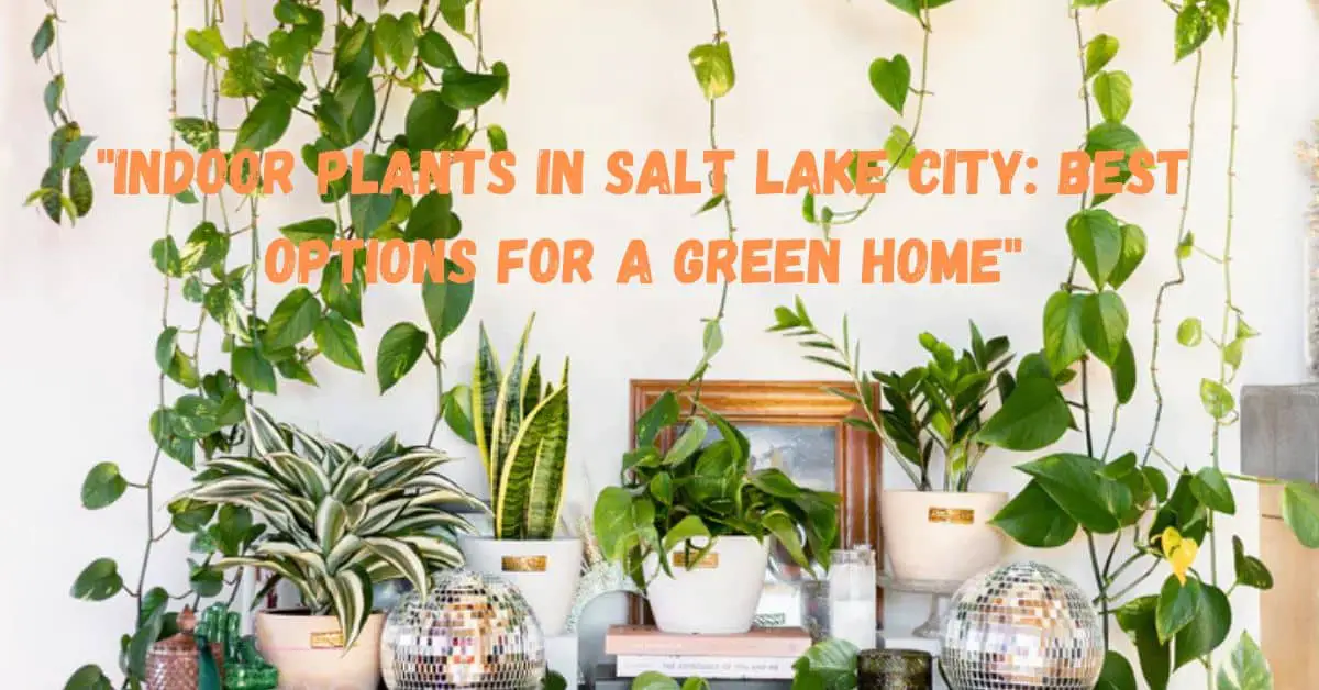 "Indoor Plants in Salt Lake City: Best Options for a Green Home"