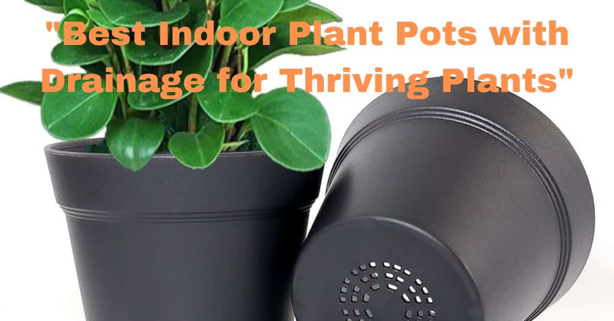 "Best Indoor Plant Pots with Drainage for Thriving Plants"