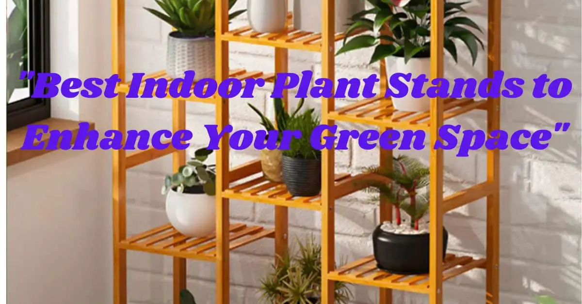 "Best Indoor Plant Stands to Enhance Your Green Space"