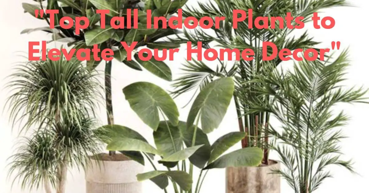 "Top Tall Indoor Plants to Elevate Your Home Decor"