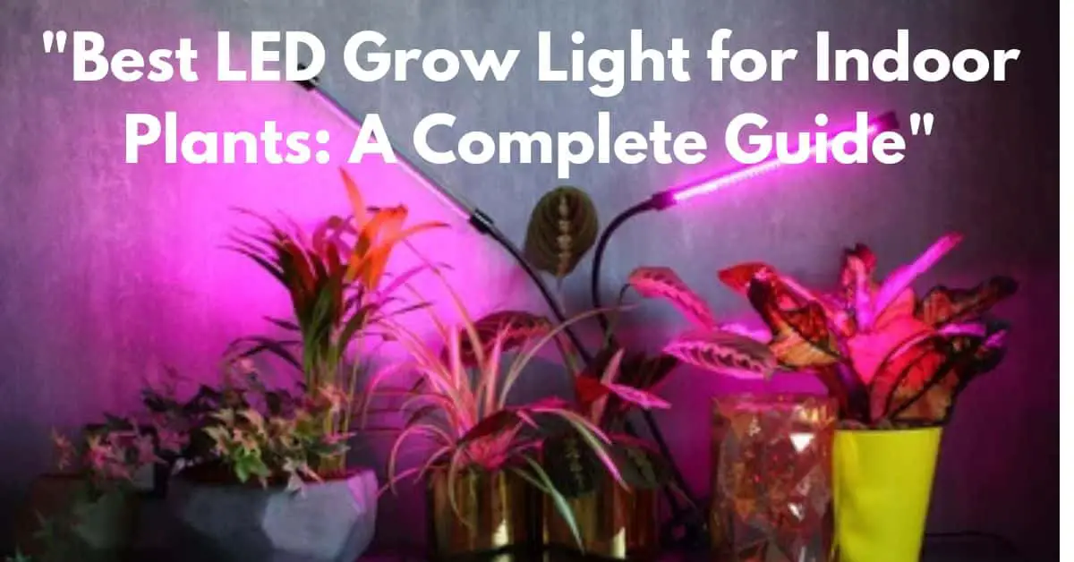 "Best LED Grow Light for Indoor Plants: A Complete Guide"