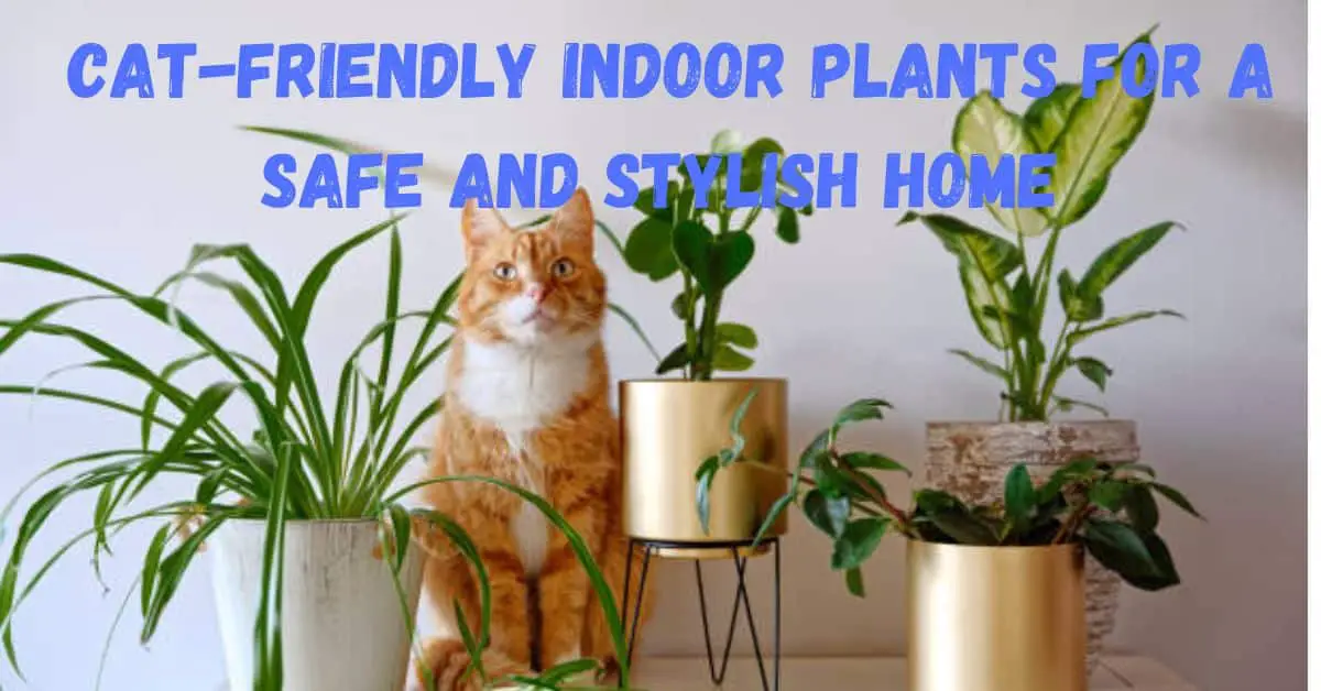 Cat-Friendly Indoor Plants for a Safe and Stylish Home