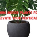 10 Stunning Indoor Plants for Black Pots: Elevate Your Vertical Garden